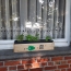 Kruiden groeien en delen op je vensterbank (1)